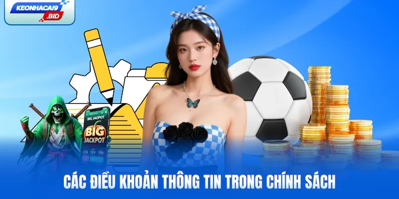 Các điều khoản thông tin trong chính sách